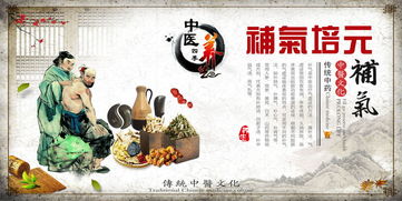 中醫(yī)四季養(yǎng)生藥膳理療進補文化展板設(shè)計
