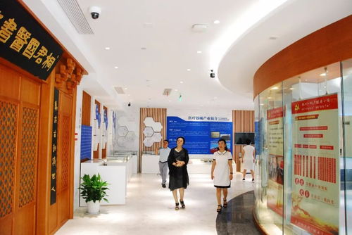 國標調研進行時 《健康管理養(yǎng)生保健服務基本規(guī)范》調研組深入江南養(yǎng)生文化村考察